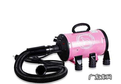 小宠物吹水机应用留意