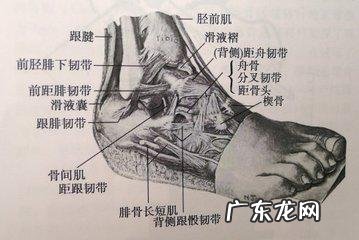 用红茶泡脚有什么好处 冬天经常泡脚的好处是什么?