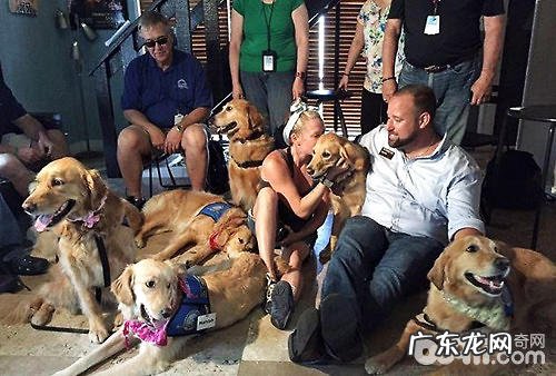 伤心就怀着我哭一会吧——弗罗里达枪击事件后,宽慰犬考虑了