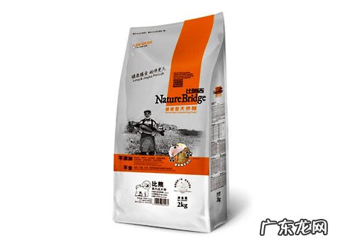 喂养比熊要留意什么环境要素?