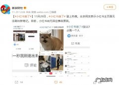 网友称“小红书崩了”