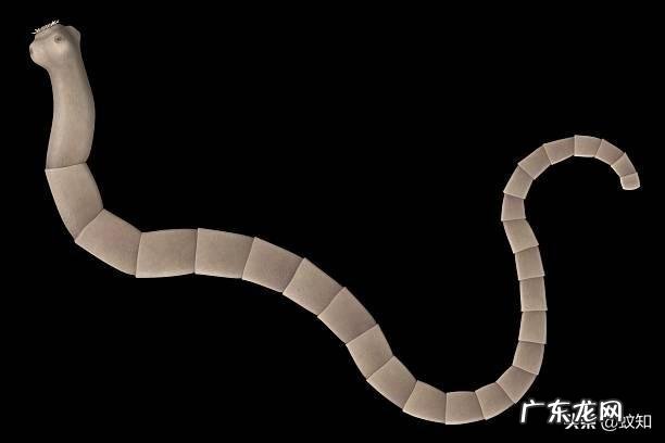 有什么简单不反弹的减肥方法吗?