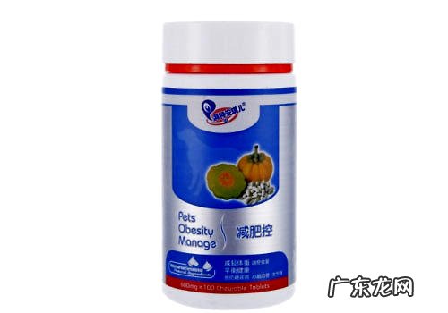 肥胖症的小狗要怎么喂养狗粮?