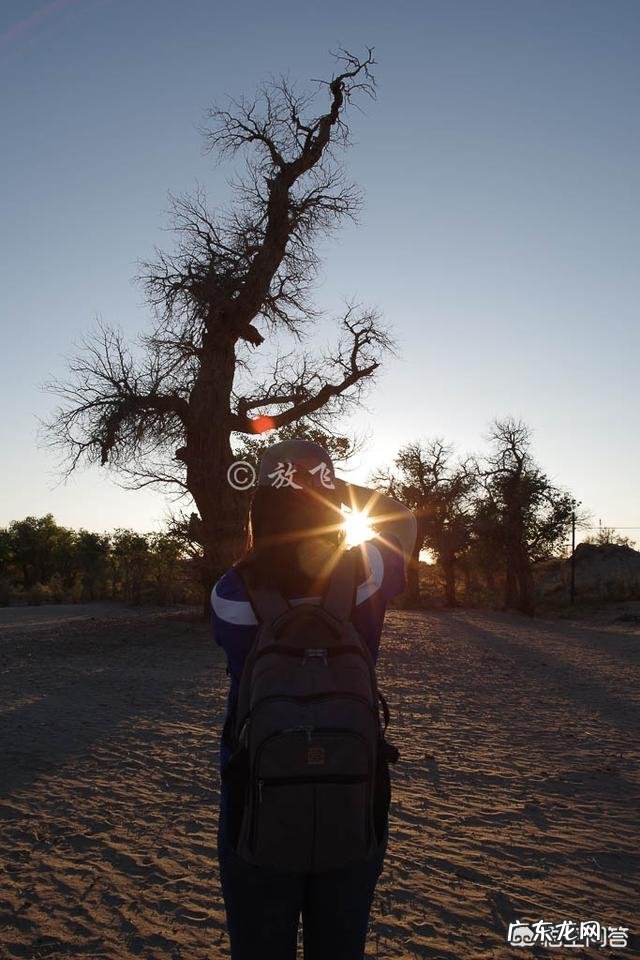 内蒙古的阿拉善有哪些值得一去的地方？
