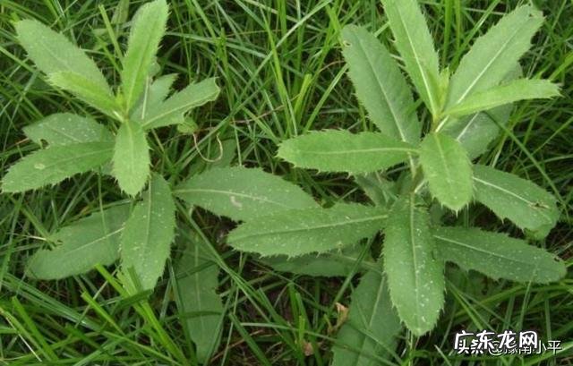 得了痔疮,哪些东西不能吃?