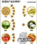 什么是转基因大豆 什么是转基因