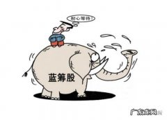 绩优股蓝筹股白马股的区别 什么是蓝筹股和白马股