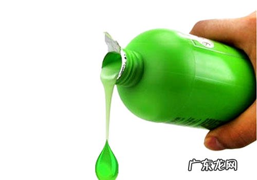 小狗宠物香波的种类有什么?