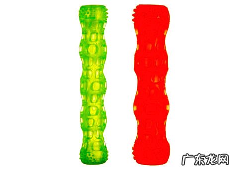 小狗玩具挑选秘诀