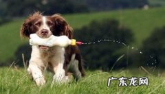 小狗玻璃奶瓶如何使用