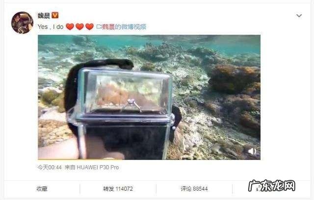 自媒体视频一个月没有播放量 请问大家diyi个自媒体的视频播放量都有多少呢?