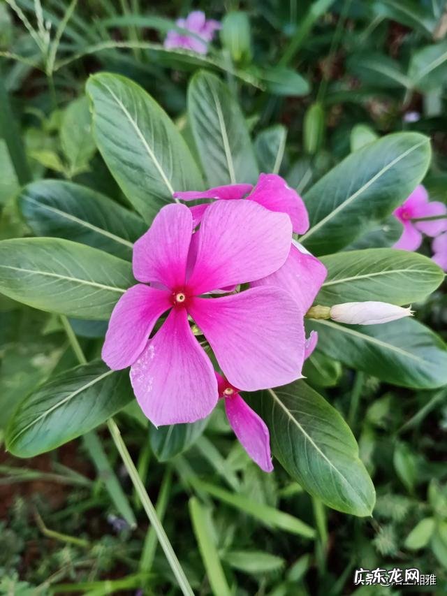 自媒体视频一个月没有播放量 请问大家diyi个自媒体的视频播放量都有多少呢?