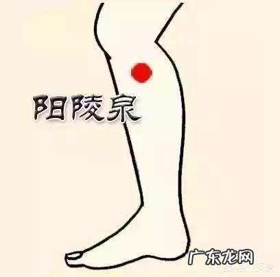 春节过后如何有效地排毒减重?