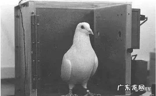 品牌如何摆脱“大促依赖症”?