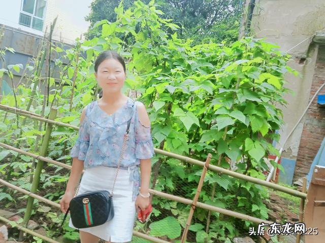 在养殖行业中,养狗和养羊哪个赚钱,风险小?