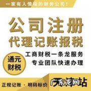 代理记账业务范围是指受托办理什么业务 代理记账业务范围