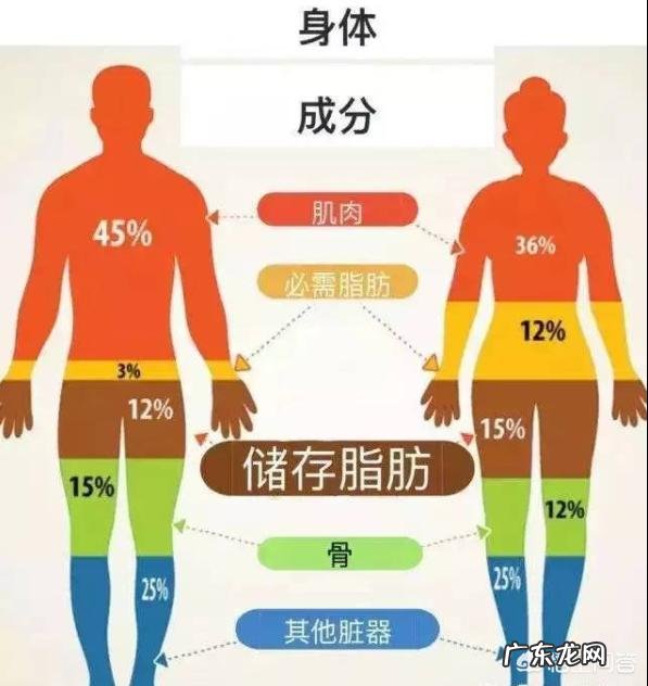 女性体脂率多高才算合格？