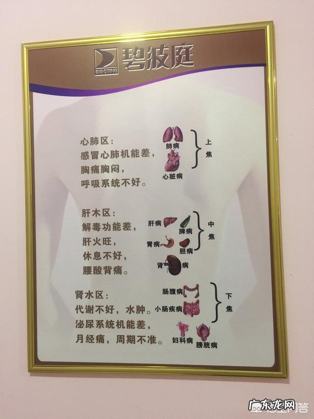 体型消瘦,如何科学变壮?