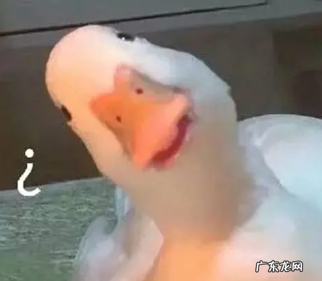 为了搞钱,全深圳都在以鹅传鹅