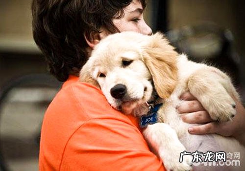 养宠物有利小孩快乐成长?