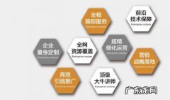 金华企业网站运营推广 企业网站代运营