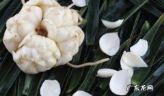 百合有什么营养价值？什么样的人不适合吃百合？