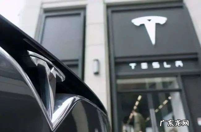 11.4亿欧元补贴都不要,马斯克疯了?