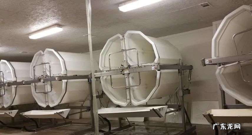 坚果内卷何时休?发芽坚果成为下一个突破口