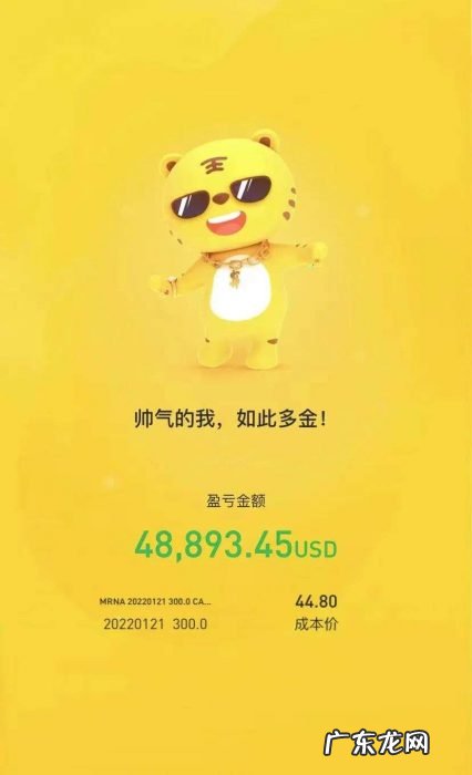 “双面”期权:投机者的火药桶,投资者的工具箱