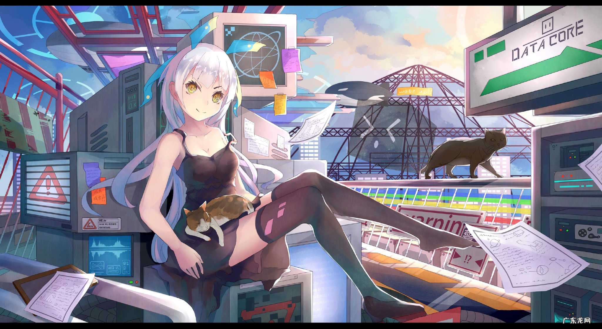 请问有谁服用过有效的减肥产品,推荐一下?。