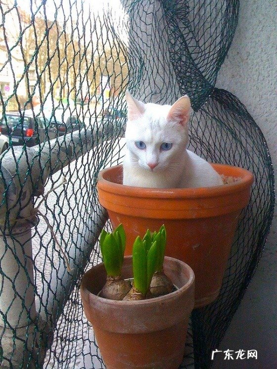 郑多燕减肥操半小时有效吗 郑多燕减肥操到有没有用呢?