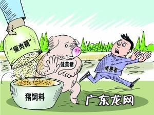 禁止使用的瘦肉精,为什么美国人吃的津津有味?