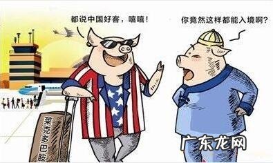 禁止使用的瘦肉精,为什么美国人吃的津津有味?