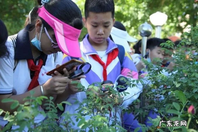 不温不火的工业旅游究竟卡在哪儿?