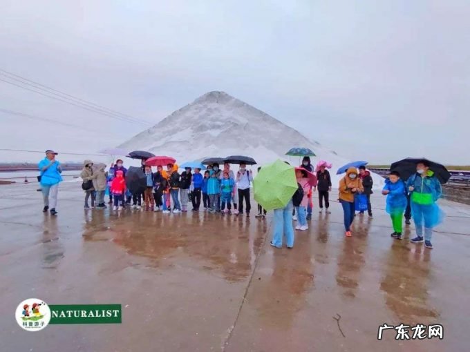 不温不火的工业旅游究竟卡在哪儿？