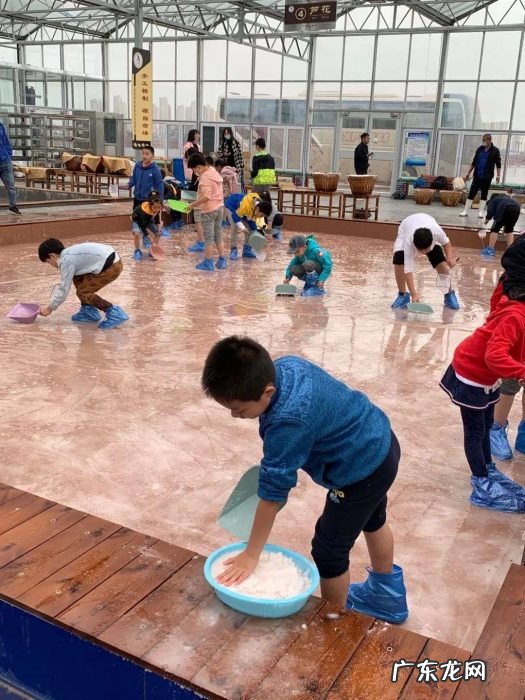 不温不火的工业旅游究竟卡在哪儿？