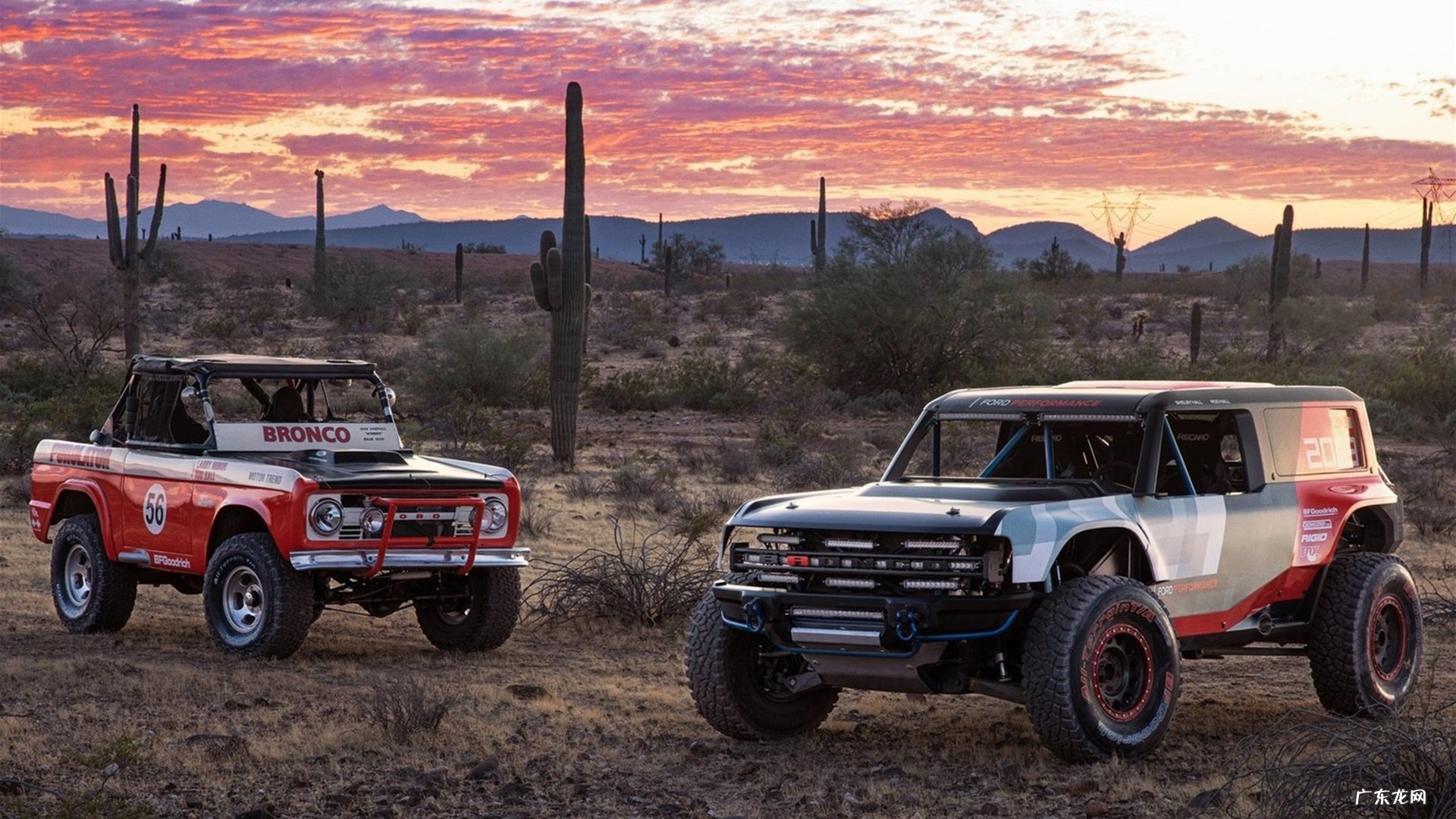 减肥茶喝了有什么副作用？严重吗？