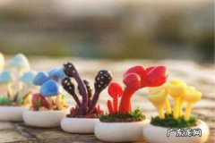 购买淘宝店铺在哪个平台 淘宝店铺装修要注意什么细节？注意事项有哪些？淘宝店铺可以转让