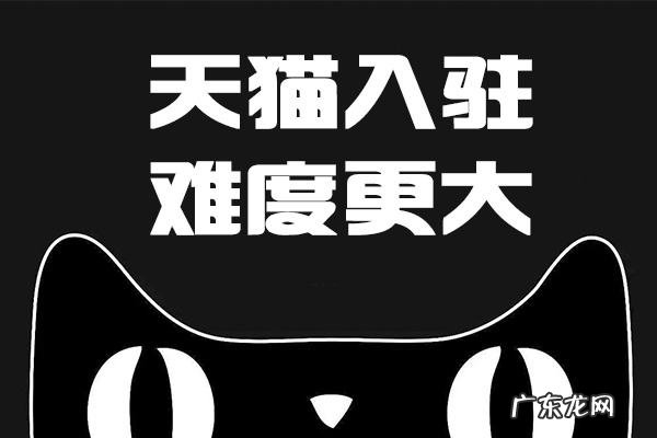 天猫店铺入驻条件 天猫入驻要什么材料?天猫入驻条件明细注册天猫旗舰店需要什么条件