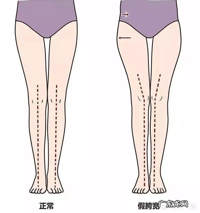 为什么减肥屁股越来越小?