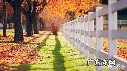 先心病能活多少岁 得了先天性心脏病能活多久？