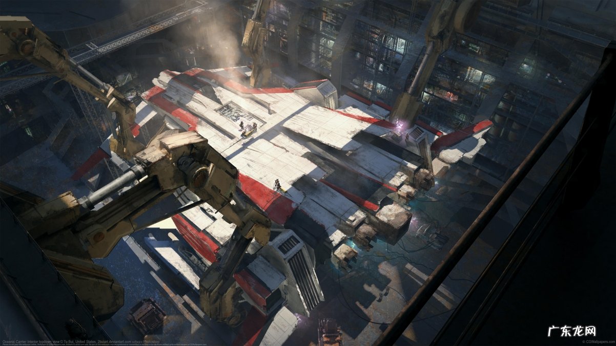 干荷叶,干山楂,绿茶泡水减肥饭前还是饭后喝