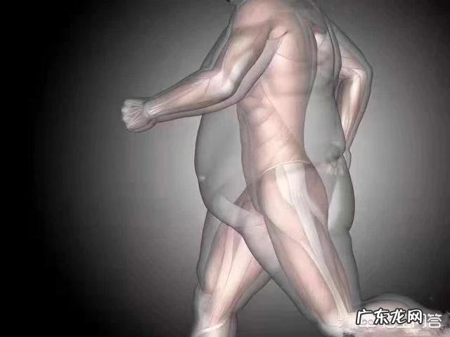 骑车锻炼、走路锻炼或跑步锻炼，哪种方式对身体好？