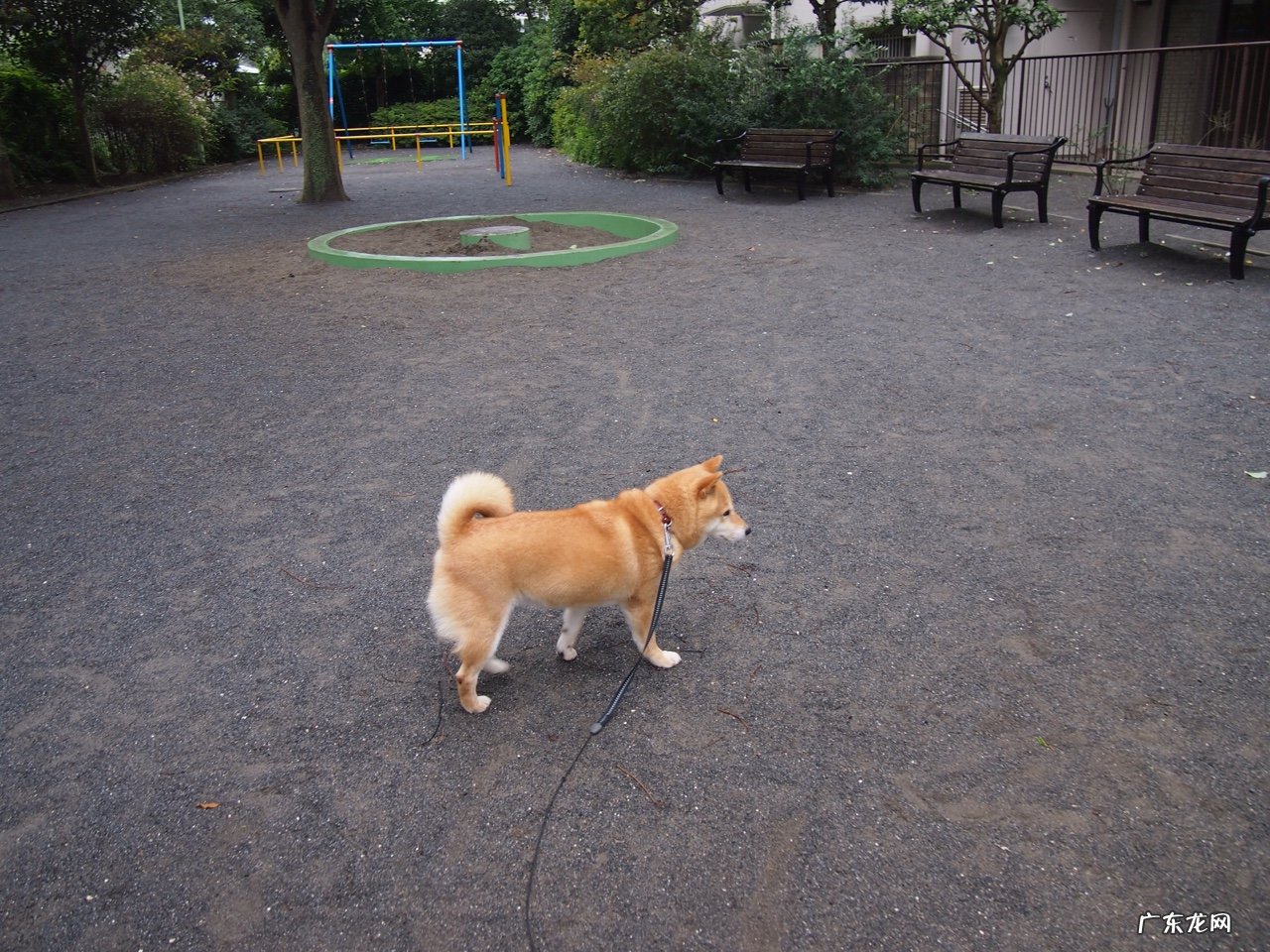 行为科学研究的主要内容是什么?