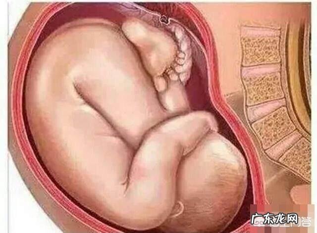 产后如何科学收盆骨促进子宫恢复?