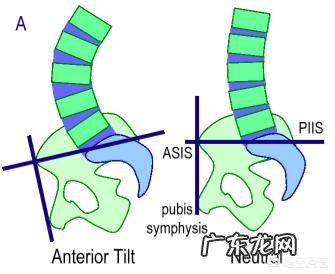 产后如何科学收盆骨促进子宫恢复?