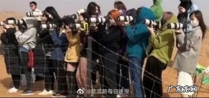 你的CP或许是假的,但代拍赚的钱是真的