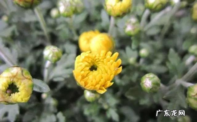 长期消瘦,没有食欲怎么办?