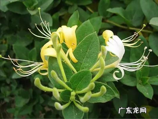 长期消瘦,没有食欲怎么办?