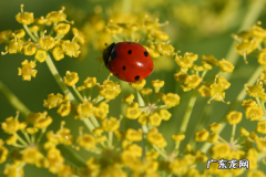 零基础怎么开网店？零基础开网店技巧